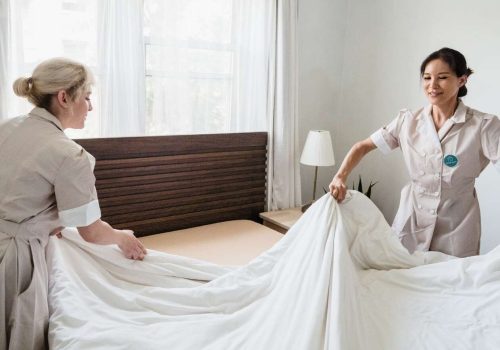 Big Workshops Hospital Housekeeping Course BMSTI